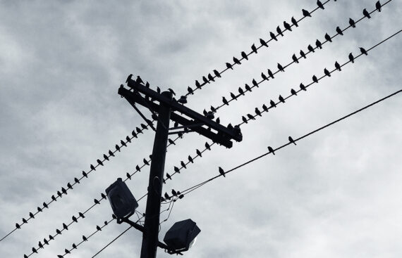 NEST-Prozess: Trübe Aussichten